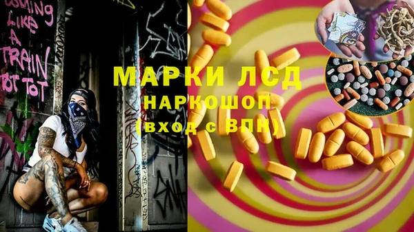 эйфоретик Аркадак