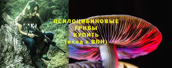 a pvp Арсеньев