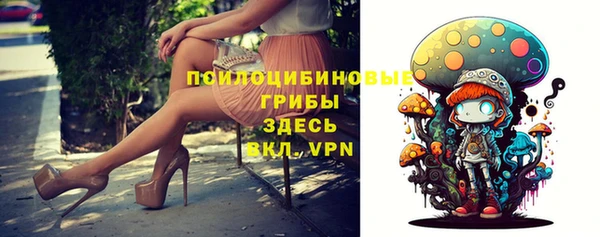эйфоретик Аркадак