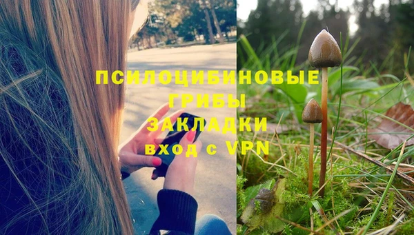 эйфоретик Аркадак
