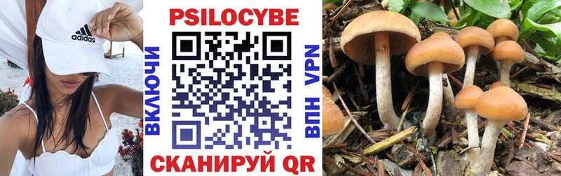 Галлюциногенные грибы Psilocybe  Тында 